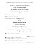 Отчет о прохождении учебной практики в ИФНС России по Канавинскому району