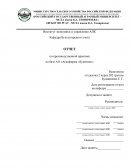 Отчет по производственной практике на базе АО «Агрофирма «Бунятино»