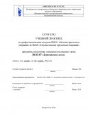 Отчет по учебной практике в ПАО АКБ "Приморье"