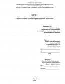 Отчёт о прохождении судебно-прокурорской практики в Управлении Следственного комитета Республики Беларусь