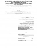 Отчет по практике в Межмуниципальном управлении МВД «Иркутское» в г.Иркутске