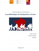 La problématique de l'immigration en France