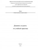 Отчет об учебно-ознакомительной практике в Алтайском Государственном Педагогическом Университете