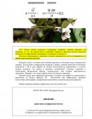 Отчет по практике по "Ботанике"