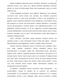 Курсовая работа: Види ксерофітів природної та штучної флори