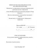 Отчет по практике в МО «Васильевский»