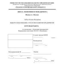 Курсовая работа: Стратегии развития предприятия