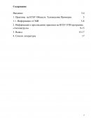 Отчет по практике на КГБУ ОТВ программа «Автопатруль»