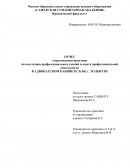 Отчет по практике в адвокатском кабинете № 842 г. Тольятти