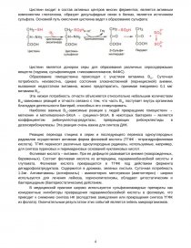 Контрольная работа по теме Кофеин. Фенамин. Синдокарб. Бемитил. Тофизопам