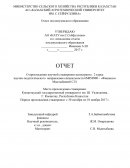 Отчет по стажировке в Кокшетауском государственном университет им. Ш. Уалиханова