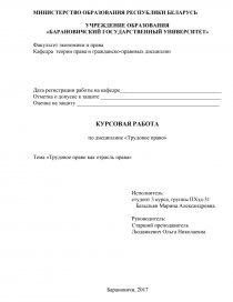 Реферат по теме Конституционное право- ведущая отрасль Российского права