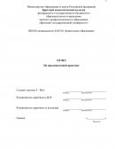 Отчет по практике в МБДОУ «ДСКВ № 45»