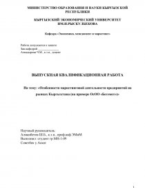 Дипломная работа: Маркетинговая политика предприятия