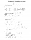Линейная алгебра с элементами аналитической геометрии