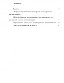 Реферат: Особенности функционирования финансов индивидуальных предпринимателей 2