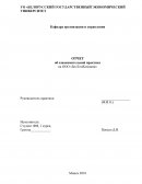 Отчет по практике на ООО «БелТопКомпани»