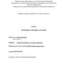 Отчет по практике в Компании «Таргин»