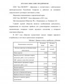 Анализ финансового состояния ООО «Бел-ЭКСПЕРТ»