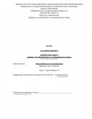 Отчет по учебной практике в ФГБОУ ВО «ЗабГУ»