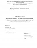 Механизмы принятия решений в избирательном праве на примере Избирательной комиссии Новосибирской области