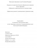 Организация и деятельность Государственной Думы в свете Конституции Российской Федерации