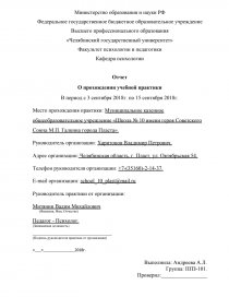 Отчет по практике: Челябинская городская Дума