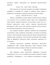 Курсовая работа по теме Переработка плодов и овощей