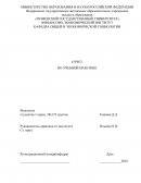 Отчет по учебной практике в Финансово-Экономическом институте