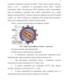 Реферат: ВІЛ-інфекція. Шляхи її подолання