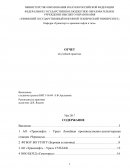 Отчет по практике на АО «Транснефть - Урал»