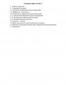 Отчет по педагогической практике в детском саду №110 «Белоснежка»