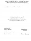 Отчет по практике на УП «Кока-Кола Бевриджиз Белорусия»