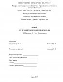 Отчет по практике на ИП Титовская О. Г. пгт Подосиновец