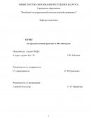Отчет по практике в ЧП «Витгран»