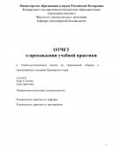 Отчет по практике в Учебно-методическом центре по гражданской обороне и чрезвычайным ситуациям Приморского края