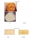 Сравнительный анализ древесины для строительных конструкций