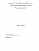 Отчет по практике в Управлении Социальной защиты населения Администрации