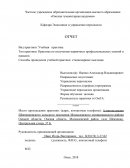 Отчет по практике в Администрации Шевченковского сельского поселения