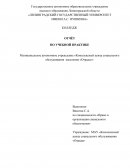 Отчёт по практике на базе МАУ «Комплексный центр социального обслуживания «Отрада»»