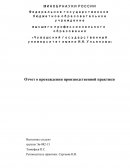 Отчет о прохождении производственной практики в Государственном Совете Чувашской Республики