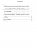 Отчет по практике в МБУ г.о. Сызрань «Культурно-досуговый комплекс»