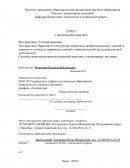 Отчет по практике в ЛГ МАДОУ «ДСКВ №9«Солнышко»