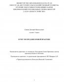 Отчет по практике в предприятии ИП Макаров А.В