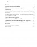 Отчет по практике в компании ИП Цирикидзе О.В