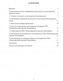 Анализ мультимодальных грузоперевозок на примере ООО «Международный аэропорт Новосибирск»