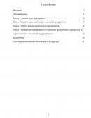 Отчет по производственной практике на охранном предприятии ООО ЧОП «Патруль»