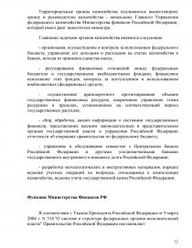 Реферат: Министерства финансов РФ