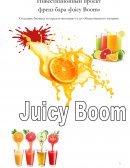 Разработка инвестиционного проекта фреш-бара «Juicy Boom»