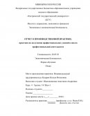 Отчет по производственной практике в ИП Казарян Н.В